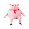 Hoggy Squish Toy®